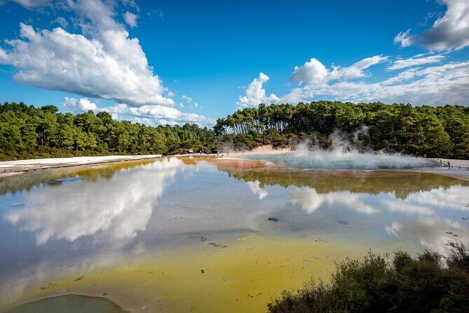 Rotorua Mori Village and Activity Combinations from Auckland - The Return Trip: Reflecting on the Day