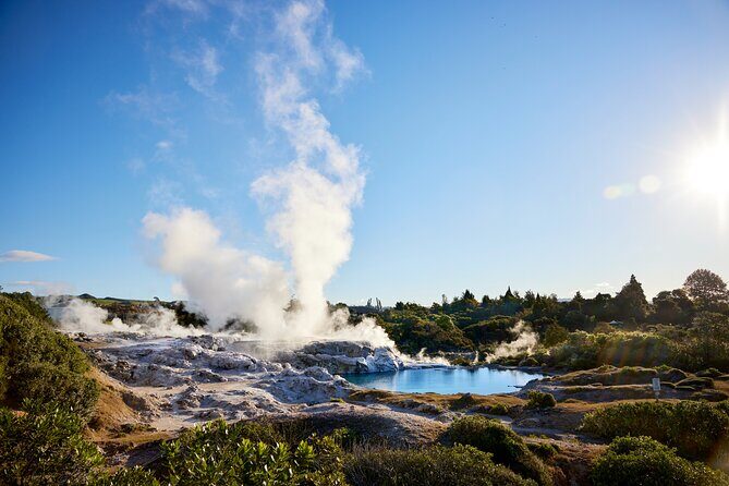 Rotorua Mori Village and Activity Combinations from Auckland - Value for Money