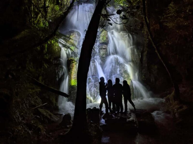 Rotorua: Nocturnal Glow-Worm Adventure Tour with a Guide - What to Expect from This Night Adventure in Rotorua