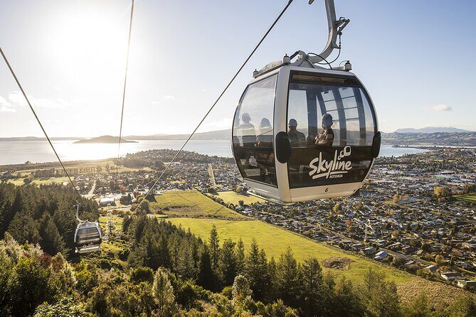 Rotorua Private Tour from Tauranga (up to 11 people) - How the Price Checks Out