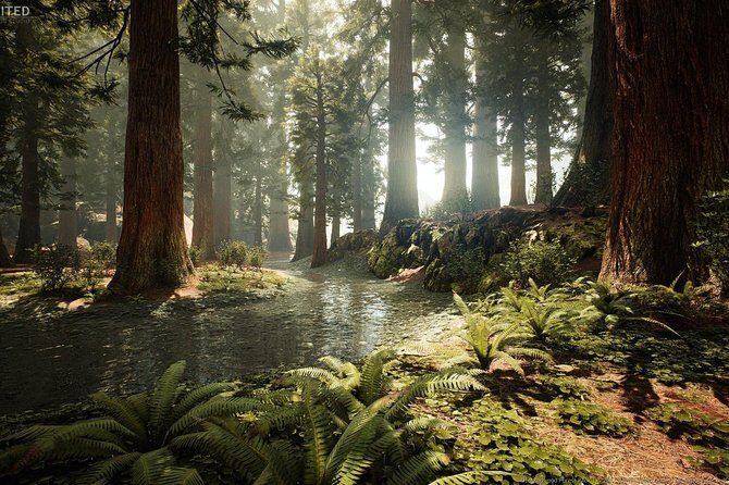 Rotorua Private tour with Hotspring - A Deep Dive into the Experience