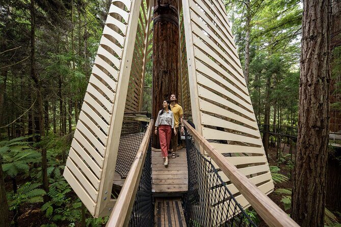 Rotorua: Redwoods Adventure 3-Hours - Real Traveler Insights