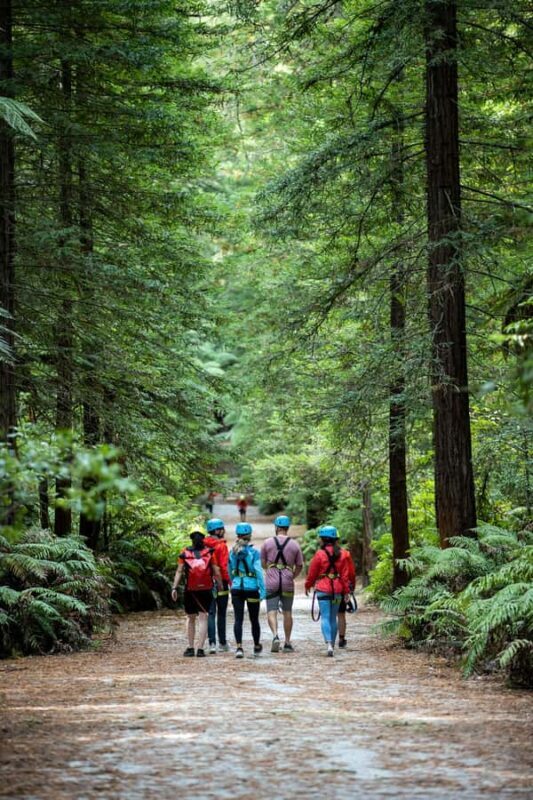 Rotorua: Redwoods Altitude High Ropes Adventure - Who Should Consider This Tour?