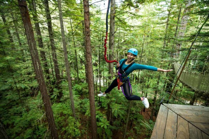 Rotorua: Redwoods Altitude High Ropes Adventure - The Real Deal: What We Think