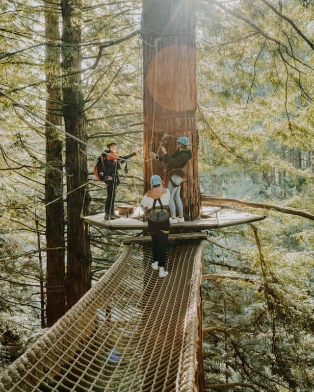 Rotorua: Redwoods Altitude High Ropes Adventure - FAQ