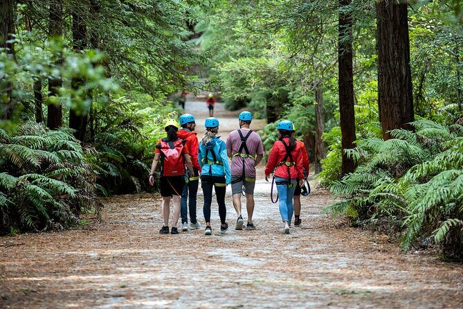 Rotorua: Redwoods Altitude High Ropes Adventure - Exploring the Redwoods Altitude High Ropes Adventure in Rotorua