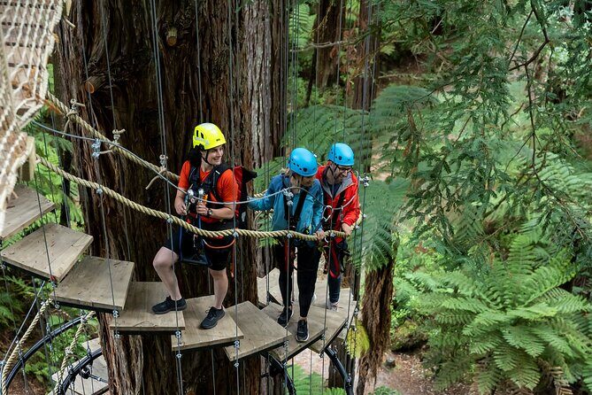 Rotorua: Redwoods Altitude High Ropes Adventure - The Value of the Experience