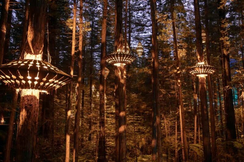 Rotorua: Redwoods Altitude, Nighttime Fast Pass, & Treewalk - A Closer Look at the Itinerary and Activities