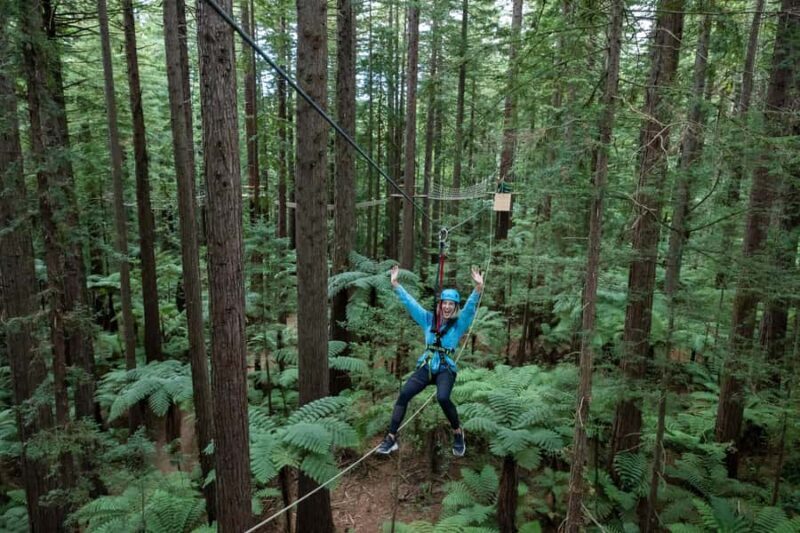 Rotorua: Redwoods Altitude, Nighttime Fast Pass, & Treewalk - Who Will Love This Experience?