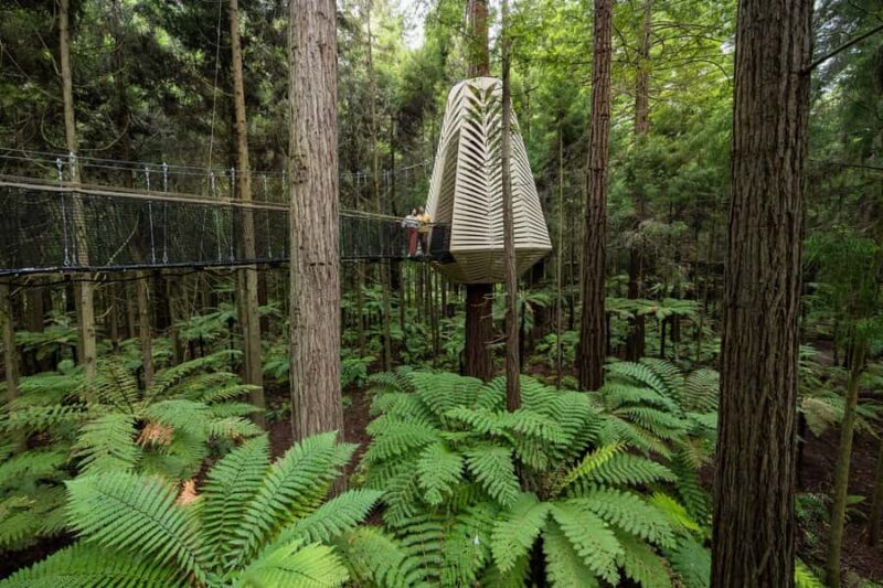 Rotorua: Redwoods Altitude, Nighttime Fast Pass, & Treewalk - The Sum Up: Is It Worth It?