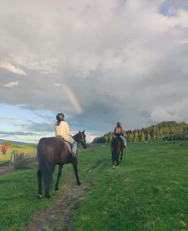 Rotorua: Scenic Horse Trek - What Is the Rotorua Scenic Horse Trek?