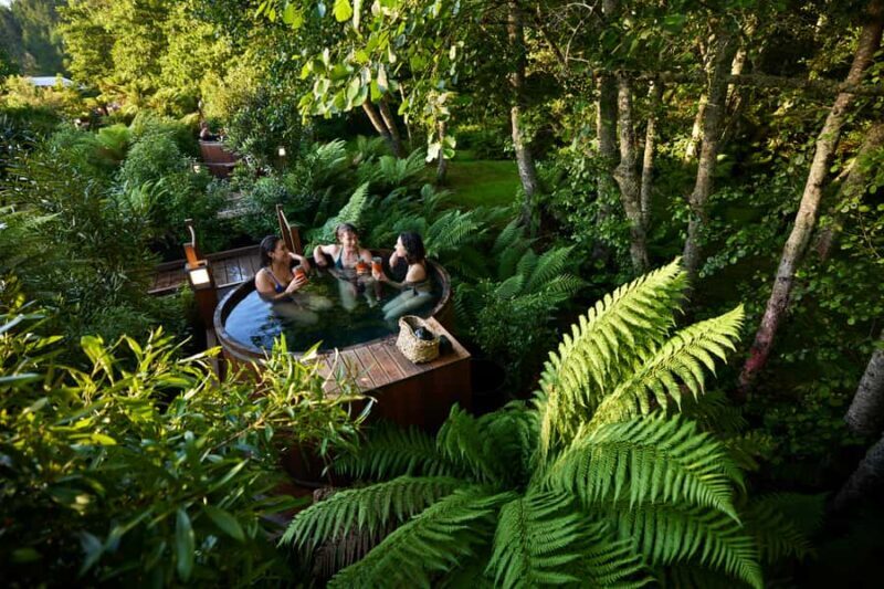 Rotorua: Secret Spot Hot Tubs - The Setting — Nature and Nighttime Magic
