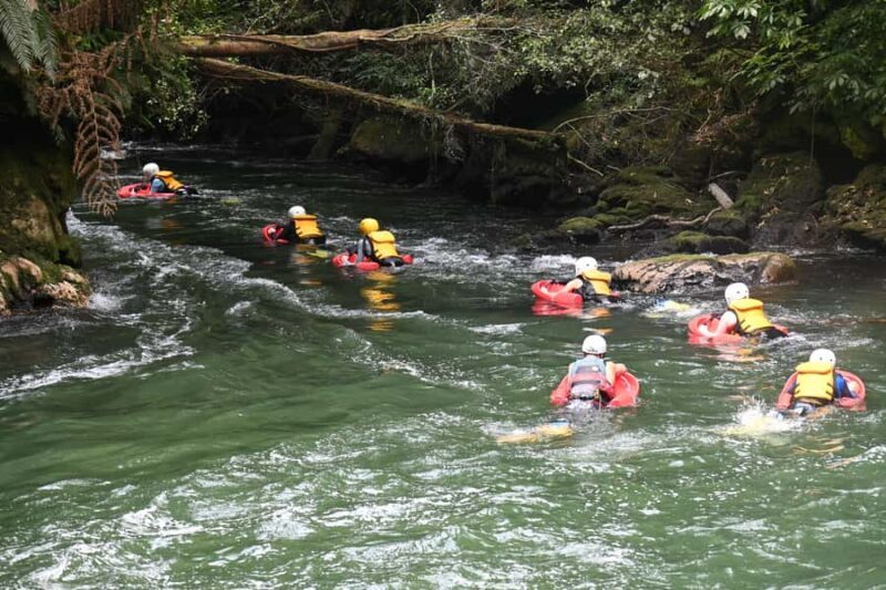 Rotorua Sledging: Kaituna White Water River Board Experience - The Sum Up: Is This Tour Right for You?
