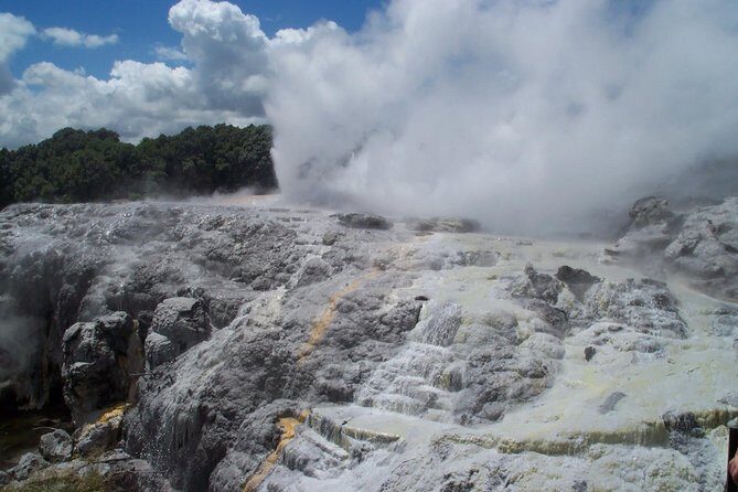 Rotorua Small-Group Day Tour from Auckland - The Basics of the Tour