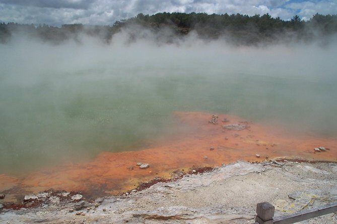 Rotorua Small-Group Day Tour from Auckland - What to Expect: The Itinerary Breakdown