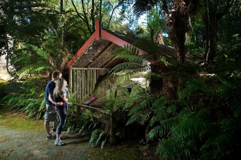 Rotorua: The Buried Village of Te Wairoa - The Experience Breakdown