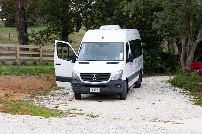 Rotorua to Auckland Afternoon Transfer with Waitomo Glow Worms - Rotorua to Auckland Afternoon Transfer with Waitomo Glow Worms — A Straightforward, But Memorable Journey