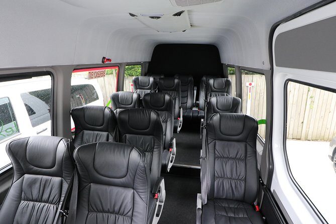 Rotorua to Auckland Afternoon Transfer with Waitomo Glow Worms - Key Points