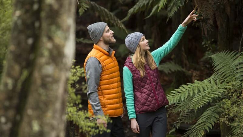 Rotorua: Waimangu Volcanic Valley Entry Ticket - The Experience – What Makes It Special