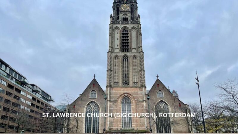 Rotterdam and Kinderdijk Daily Walking and Boat Tour - The Heart of Rotterdam: An Urban Showcase