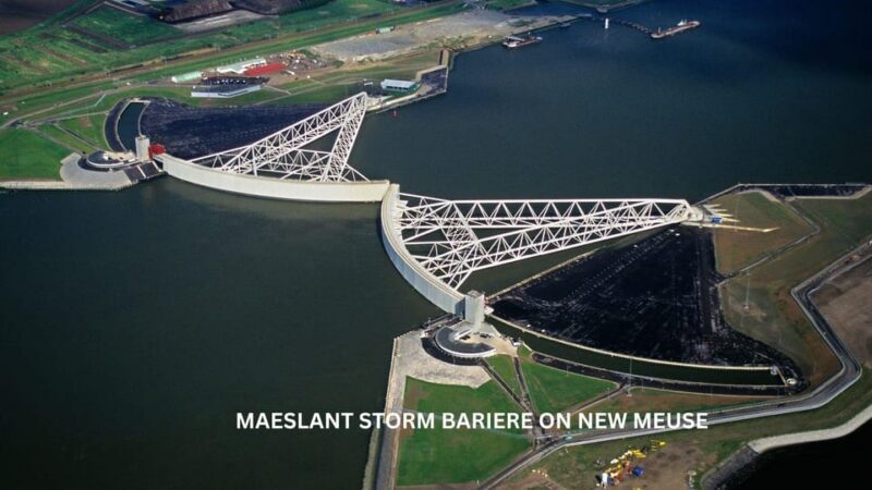 Rotterdam and Kinderdijk Daily Walking and Boat Tour - Final Thoughts: Who Should Consider This Tour?