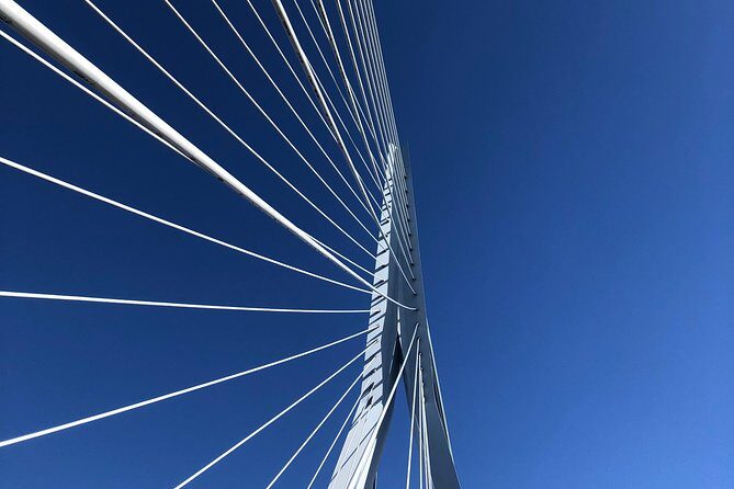 Rotterdam Architecture Highlights Walking Tour - Final Thoughts