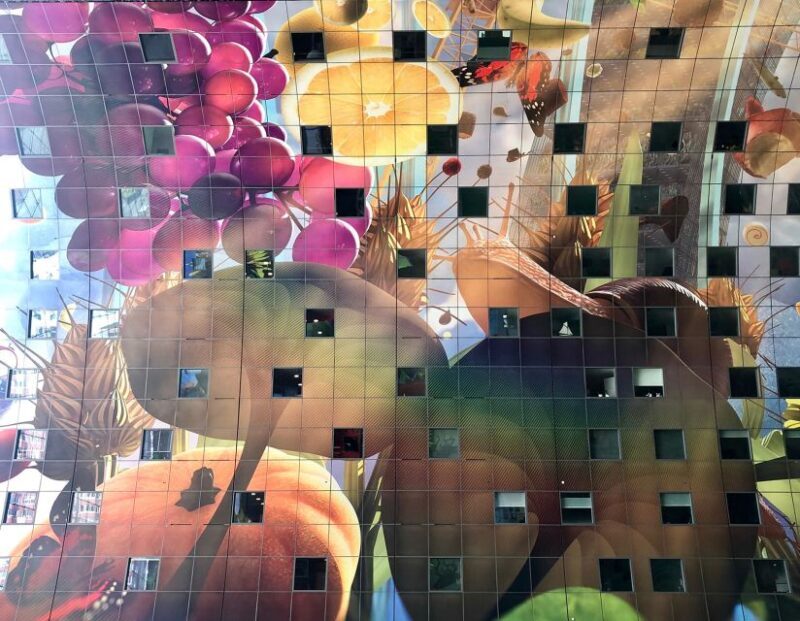 Rotterdam: Art and Architecture Highlights Walking Tour - An In-Depth Look at the Tour Experience