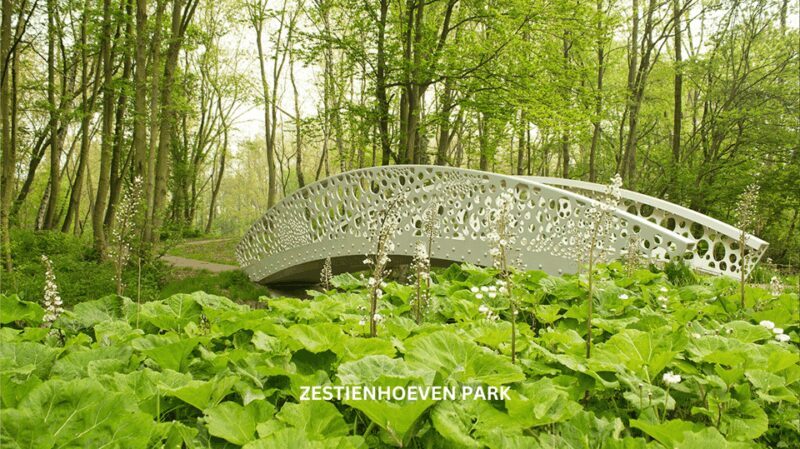 Rotterdam countryside on wheels - bike tour around city - Considerations and Practical Tips