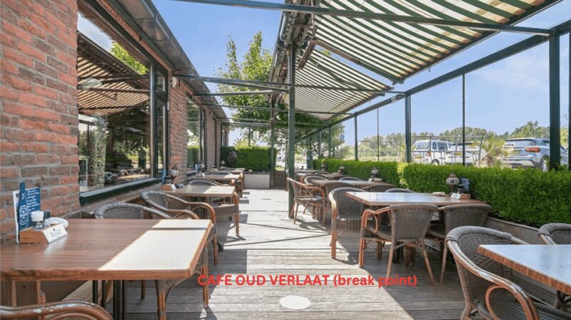 Rotterdam countryside on wheels - bike tour around city - Who Should Skip It