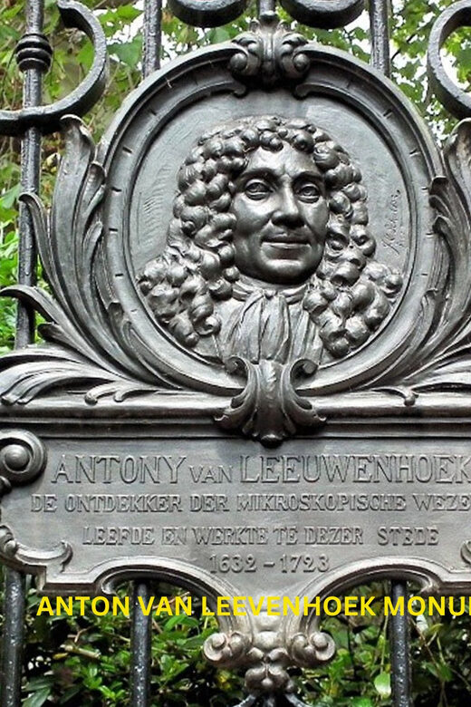 Rotterdam & Delft Daily Walking Tour - FAQ