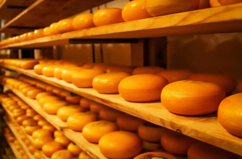 Rotterdam & Gouda: Guided Tour with Cheese Tasting - Key Points