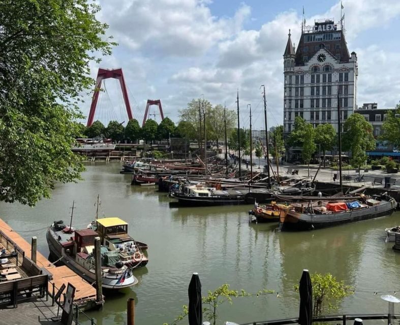 Rotterdam: Private Tour with Local Guide - Key Points