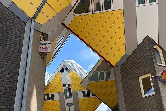 Rotterdam: Private Tour with Local Guide - Who Should Consider This Tour?