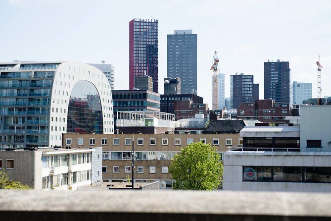 Rotterdam Rooftop tour - What You Can Expect from the Rotterdam Rooftop Tour