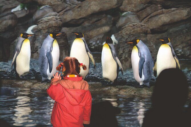 Rotterdam Zoo Diergaarde Blijdorp Direct Entrance Ticket - FAQ
