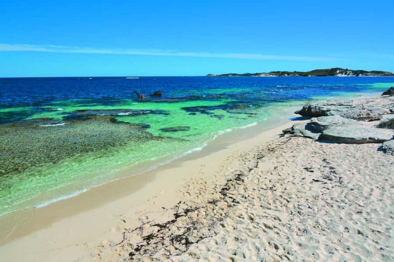 Rottnest Grand Island Package with Ferry, Tour & Light Lunch - Practical Tips for Booking and Enjoying the Tour