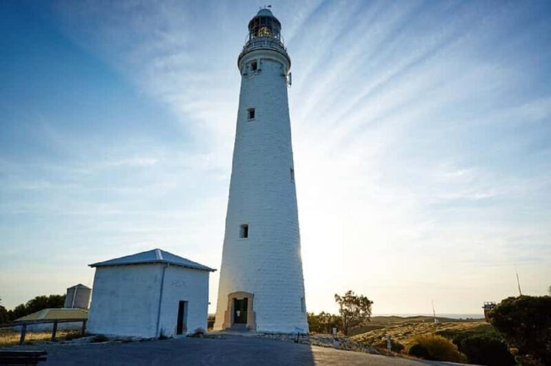 Rottnest Island 1.75 Hour Bayseeker Island Tour - Key Points