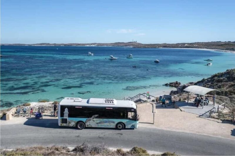 Rottnest Island 1.75 Hour Bayseeker Island Tour - The Value of This Tour