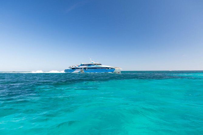 Rottnest Island All-Inclusive Grand Island Tour from Perth - A Detailed Look at the Experience