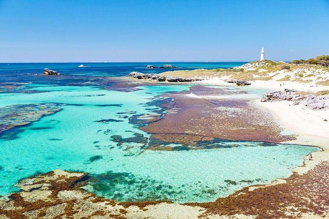 Rottnest Island Bayseeker Day Trip from Fremantle - What to Expect on the Day Trip
