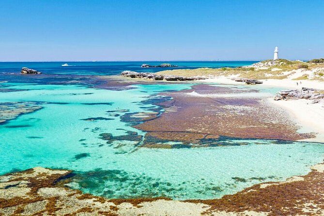 Rottnest Island Bayseeker Day Trip from Perth - Wildlife & Scenery: What You’ll Love