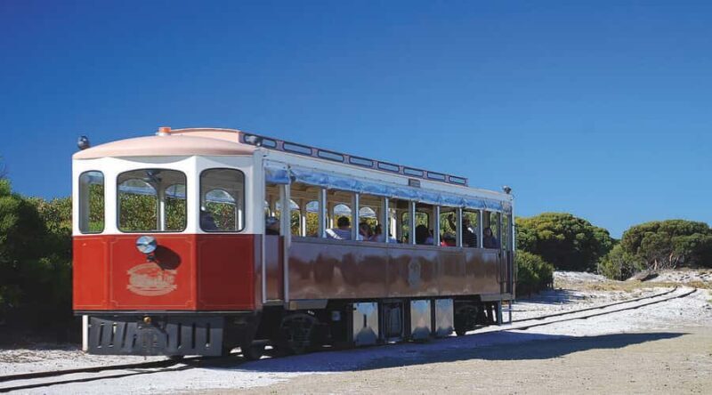 Rottnest Island: Grand Bus and Train Tour with Lunch - A Deep Dive into the Rottnest Island Tour Experience