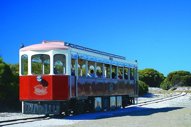 Rottnest Island Grand Tour Including Lunch and Historical Train Ride - What to Expect from the Rottnest Island Grand Tour