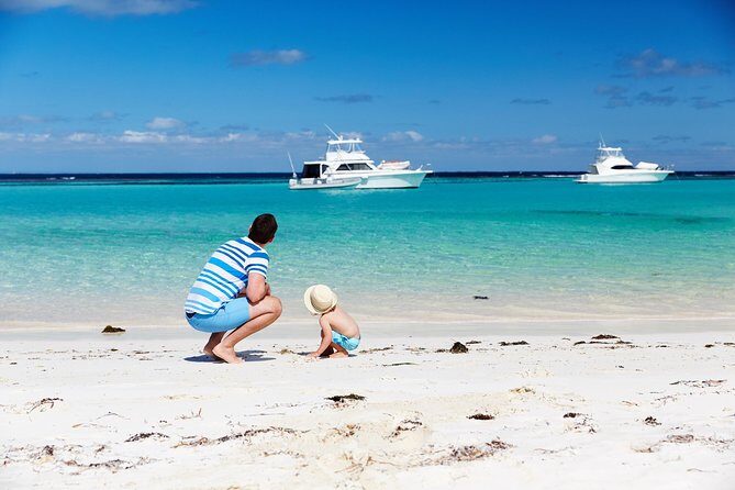 Rottnest Island Grand Tour Including Lunch and Historical Train Ride - Who Will Love This Tour?