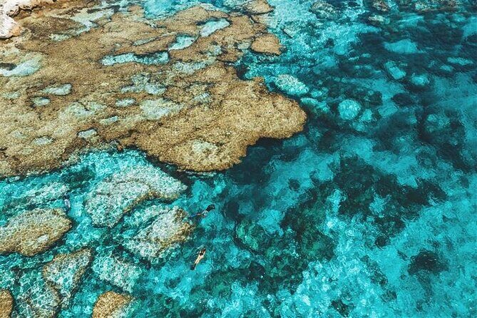 Rottnest Island Round Trip Ferry from Fremantle - Key Points