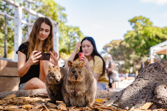 Rottnest Island Segway Tour: Settlement Explorer Tour - FAQ