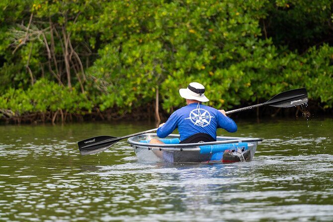 Round Island 2-Hour Glass Bottom Guided Kayak Eco Tour - What to Expect on Your Tour