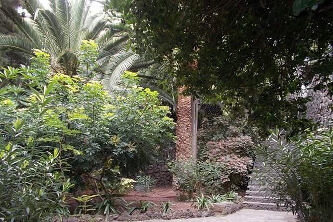 Round The Island Trip Without Teide VIP TOUR - Is This Tour Worth the Price?