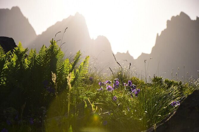 Round Trip Bus Transfer to Juta from Kazbegi - The Itinerary and What You Can Expect