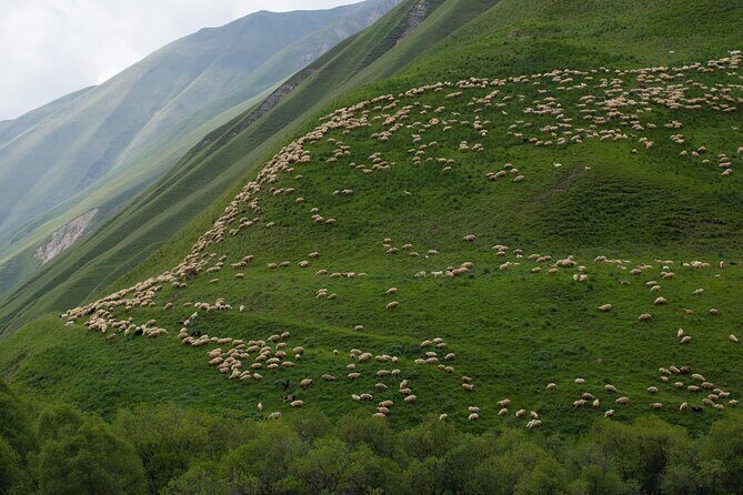 Round-Trip Bus Transfer to Truso Valley from Kazbegi - Exploring the Round-Trip Bus Transfer to Truso Valley from Kazbegi